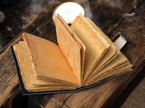 Grimoire Vintage Mushroom leather journal, Handmade Antique Deckle Edge Paper Spell Book of Shadows Celestial Witchcraft Supplies Diary, Gifts (Copy)