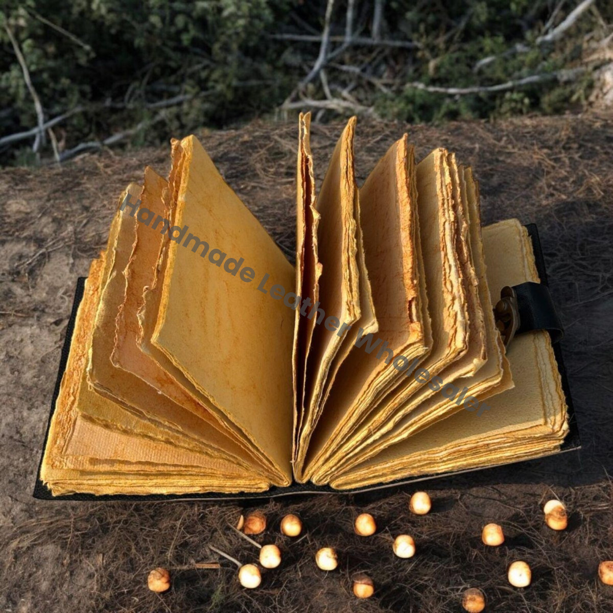 Luna Moth Leather Journal with Lock, Blank Spell Book